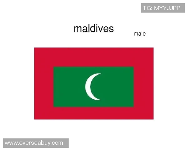 通过各国国旗颜色线索挑战猜出隐藏的世界知名足球球星名字